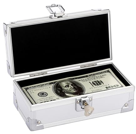 OGANAZI Geldkassette mit Schlüssel Abschließbare Geldbox Scheine Organizer | Silber Alubox mit Schloss Deko Cash Box Geldkoffer als Geldgeschenk Sammlerbox für Münzen, Schmuck, Keys, Bankkarte, Quittung
