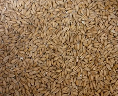 Unbekannt Articles au Kilo Grains d’épeautre, Dinkel, z. Recharge v. Oreiller épeautre ou Coussin réchauffant - 9kg