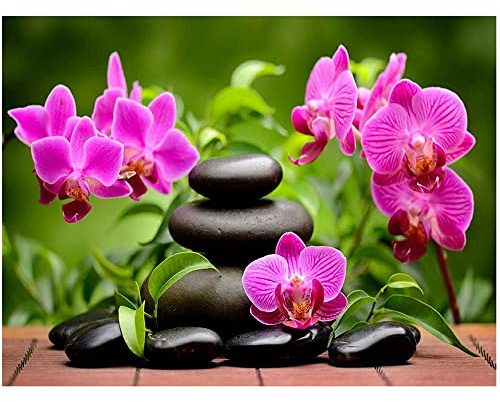 DCIDBEI Diamond Painting Orchidee Quadratische Steine Phalaenopsis 50x40cm 5D Diamant Painting Full Drill Stickerei Groß Bilder Malerei Malen nach Zahlen Stitch Diamant Gemälde für Wand Dekor Box