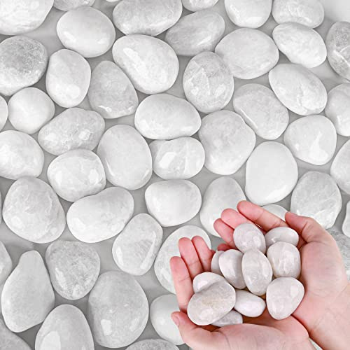 Guijarros para plantas (blanco, 5 libras)