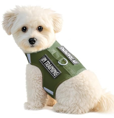Dog Harness Puppy Harness, with 2 Patches, Comfort Vest for Small Dogs&Cats | D-ring, Quick on/off, Lightweight Breathable Dog Walking and Training, XXXS–S is more for cat, whilst XS–L is more for puppy