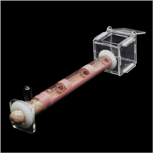 XENITE Test Tube Ameisennest Ameisenfarm Formicarium Display Box Fütterungshaus Für Ameisen Insekten Züchten Haus Ameisen Farmen Set Villa Ant Nest Geburtstagsgeschenk Geschenk (Color : D)-1