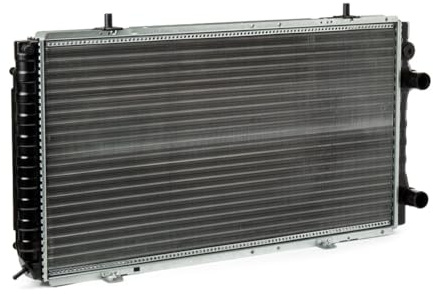 RIDEX 470R0146 Radiatore motore Compatibilità con PEUGEOT BOXER Furgonato
