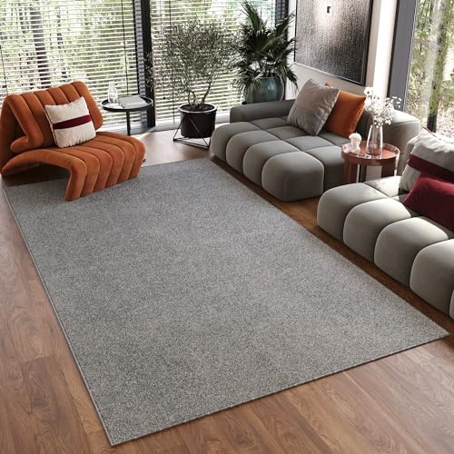 TAPISO Noyan Teppich Kurzflor Antirutsch Grau Einfarbig Waschbar Modern Design Waschmaschinenfest rutschfest Wohnzimmer Schlafzimmer ÖKOTEX 300 x 400 cm