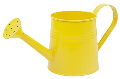 Arrosoir de Jardin de 1 l avec Long, Seau d'arrangement Floral, Vase en métal, Design Durable, verseur Facile, idéal pour Le Jardinage extérieur et intérieur