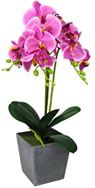 Steinmann Orchidea artificiale in vaso rettangolare, non stinge, facile da pulire, dimensioni (vaso grigio, 50 cm, rosa scuro)