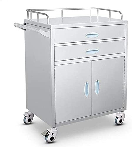 Medical Cart Utility – Tragbarer Servierwagen aus Edelstahl mit 2 Schubladen für medizinische und zahnmedizinische Labors – mobiler Mehrzweckwagen