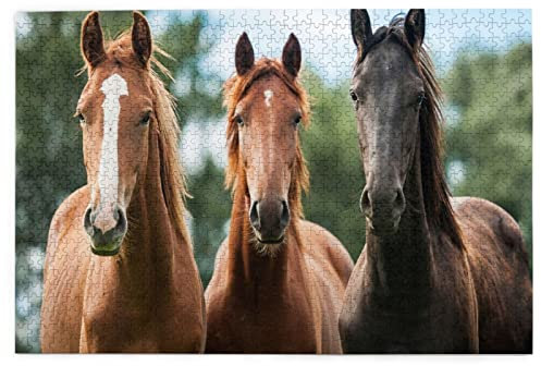 Puzzle animaux chevaux 1000 pièces 74,9 à 50,8 cm art art art image en bois puzzle maison grand puzzle difficile difficile pour la maison des enfants