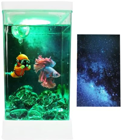 Acquario Betta Trasparente – Set Completo con Filtro e Illuminazione LED | Mini Acquario da Tavolo per Pesce Combattente – Decorazione Paesaggistica Elegante per Casa o Ufficio
