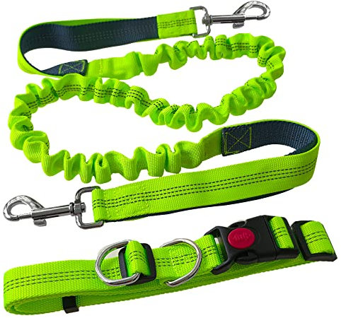 Aiqeer Grün Freihändige Hundeleine, Verstellbarer Hüftgurt und Dehnbare Bungee-Leine, Jogging Hundeleine mit Reflektierenden Nähten (Grau Griff)