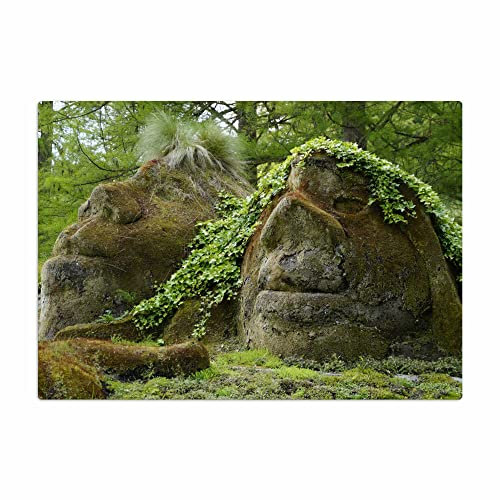 Vero Home 18481 Glas-Schneidebrett | Motiv Natur Wald | rutschfest, kratzfest und lebensmittelecht | Maße: 39 x 29 cm