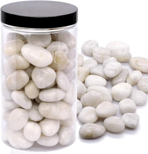 Ciottoli naturali lucidati per vasi, roccia di fiume, piante decorative per acquario, terrario, vaso, vaso, ciottoli (bianco)
