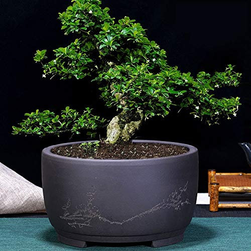 Bonsai-Blumentopf, Keramik, rund, großer Bonsai-Topf, grüner Blumentopf, trommelförmiger chinesischer Stil, Belüftungsbecken, polyporöse Pflanze, Blumentopf, lila Sand-Pflanzgefäß, Blumentopf für de