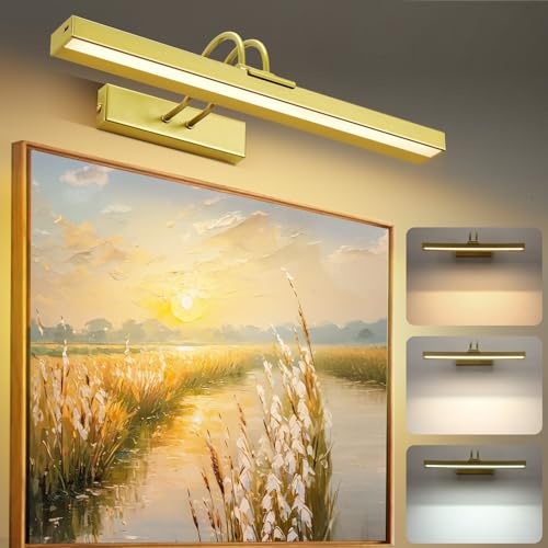 Lampop Picture Lights for Wall 5000 mAh Rechargeable Picture Light Gold Battery Operated Wall Lights with Remote, Dimmable 3 Lighting Colors & 4 Timer, Wireless Lamp for Frames Painting Art Display