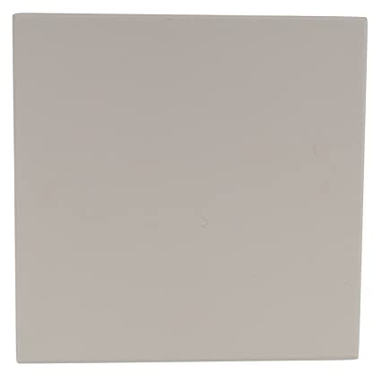 Koawensa Piedra de pizza para cocinar, hornear, parrilla, herramientas de pizza para horno y parrilla de barbacoa, bandeja de pan, placa de cocina, 305 x 305 x 10 mm