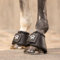 SUNRIDE Hufglocken (2er Set) - für Pferde - aus Leder und Neopren - zum Schutz vor Ballentritten (L (Cob - Full), schwarz)