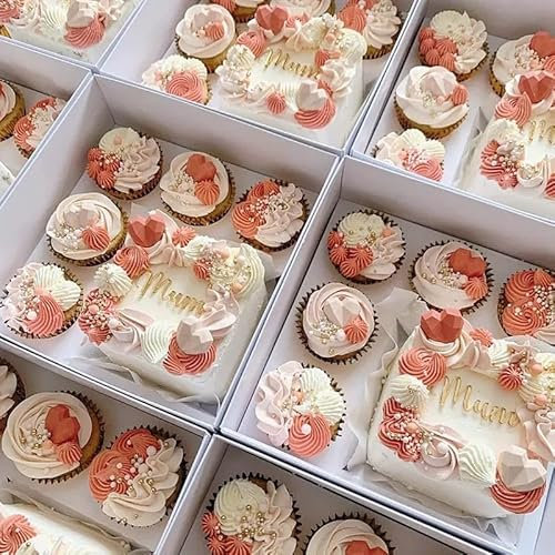 Clear Lid Bento Cake & Cupcake Box - 2 sizes! Baking packaging (10 pack) (Bento cake & 5 Cupcake Hold)