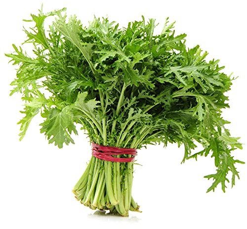 Mizuna (Heirloom Japanese Mustard Greens) (900 Seeds)