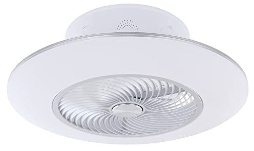 Deckenventilator mit Licht und Fernbedienung Deckenlampe Ventilator Raumkühler Beleuchtung Tageslichtleuchte, dimmbar CCT, Metall, silber weiß, 1x LED 36 Watt 2200lm 3000-6500;, D 58 cm