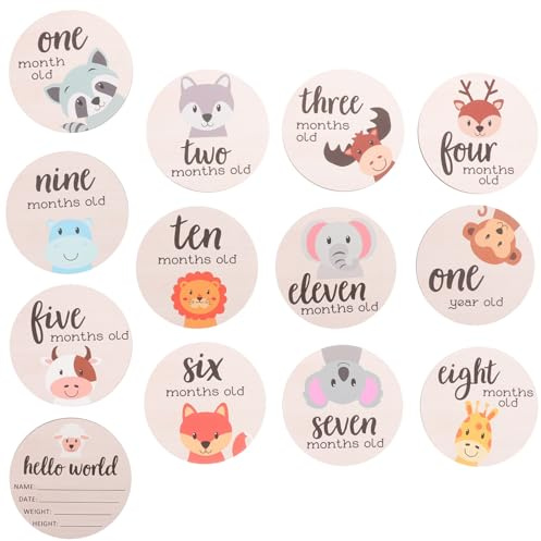 HIAKDOFT 13pcs Monthly Milestone Cards Wooden Growth Signs Newborn Announcement Discs Photo Props for Shower and Newborn Photography