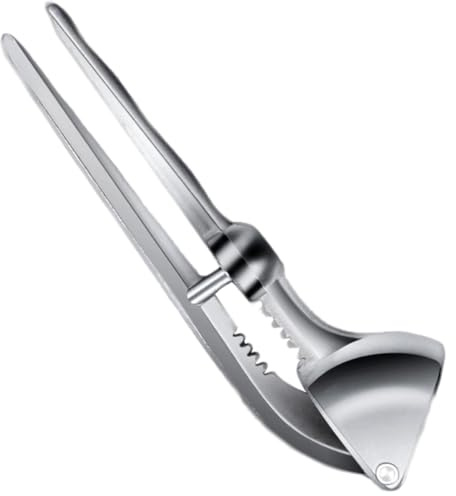 PRETYZOOM Presse-ail Manuel en Alliage D’aluminium Multifonctionnel, Outil Cuisine pour Écraser Ail et Gingembre, Accessoire Pratique pour Préparation Culinaire, Compatible Usage Familial