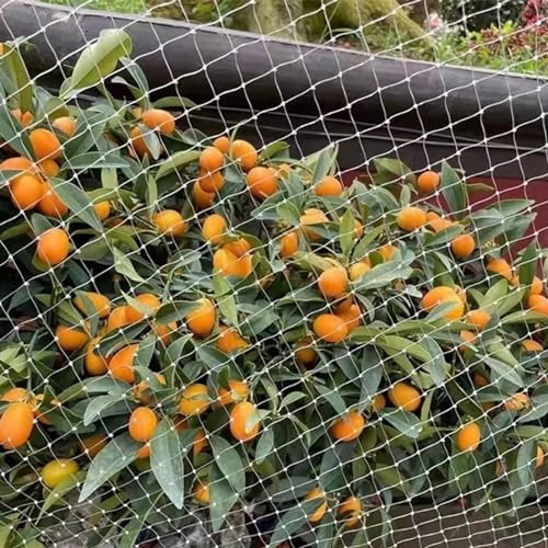 Red de jardín prémium para árboles frutales, malla de nailon ligera y reutilizable, 7 x 25 m, funda protectora para disuasión de ardillas y pájaros en arbustos y plantas de arándanos
