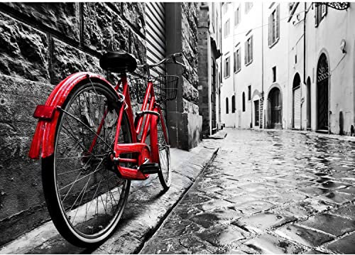 Runa Art Fototapete Fahrrad Straße 352 x 250 cm Vlies Tapeten XXL Moderne Wandtapete Wohnzimmer Schlafzimmer Grau Rot 9220011a