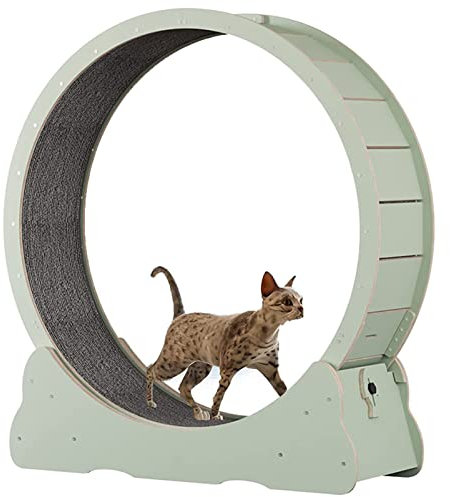ExoticaBlend Katzenrad-Trainingsgerät für Indoor-Katzen, Katzenlaufrad, Einfach montiertes Katzenlaufband mit Verriegelungsmechanismus, Ultra-leises Laufen für Katze Gesund,Green-L