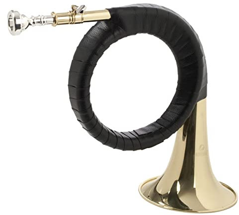 Monzani 742 L Fürst Pless Horn mit leichter Ansprache, guter Intonation und tollem Klang, inkl. Mundstück und gepolstertem Gigbag