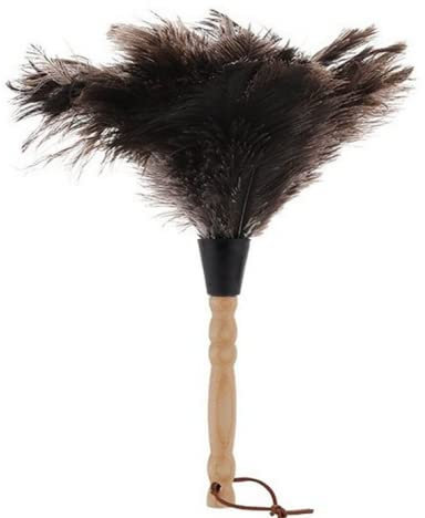 xingzhi Black Ostrich Feather Duster (12.6)