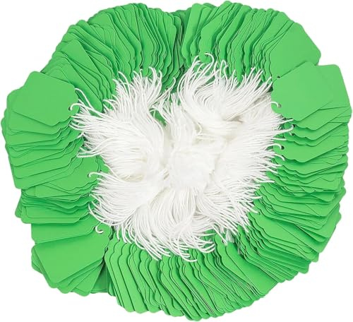 Tiardey 200 Stück Preisschilder, Geschenkanhänger Aus Papier Mit Schnur, Blanko, Beschreibbare Etiketten, Warenanhänger, Displayetiketten, Grün