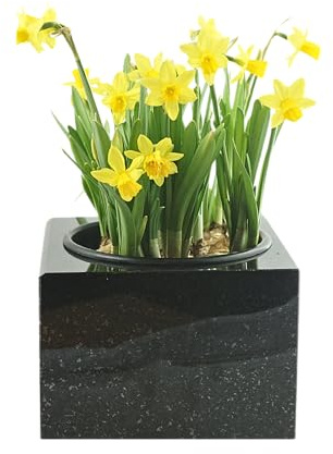 designgrab Carreaux en granit suédois noir 30 cm poli et digne