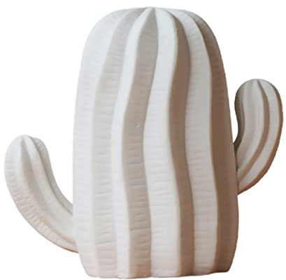 SOLUSTRE 1pezzi Cactus Decorativo in Semplice Per Arredamento Casa Moderno Decorazione Per Interni