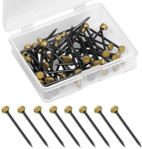 50Pcs Clous de Suspension,Cintres Photo Clous Cintres Clous de Cadre Photo Picture Pins avec Boîte de Rangement en Plastique Petit Pointe Murale pour Cadre
