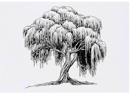 'Willow Tree' Temporary Tattoo - Water Resistant, Skin-Safe, Non-Toxic Transfer (TO00083813)