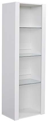 Panana Modern Tall Display Cabinet Cupboard High Gloss Fronts Storage Cupboard with RGB LED Lights Living Room (White)