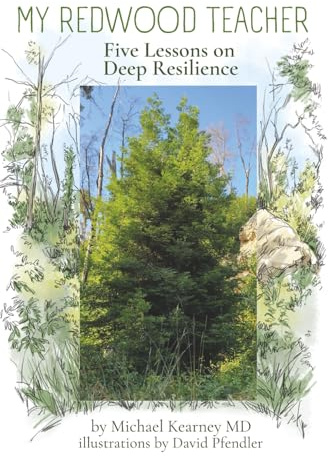 My Redwood Teacher: Five Lessons on Deep Resilience