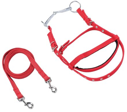 Zunate Riendas de Brida de Caballo de Nailon Ajustables |Cabezal Ecuestre para Ponis de Menos de 1, de de Hombro, Negro S, Ayuda de Entrenamiento con Riendas Laterales Duraderas