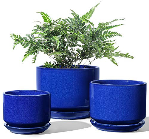 LE TAUCI Pot de Fleurs en Céramique, 11+13+17 cm, Lot de 3, Pot avec Trou de Drainage et Soucoupe, Pot d’Intérieur avec Tapis en Maille, Cadeau pour Maman/Mère, Bleu Saphir