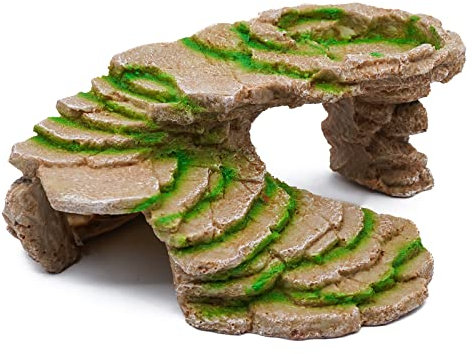 Piattaforma Tartarughe Acqua Terrazzo Tartaruga Buco Della Tartaruga Pelle Rettile Resina Abbronzatura Roccia Drago Barbuto Accessori Decorazione