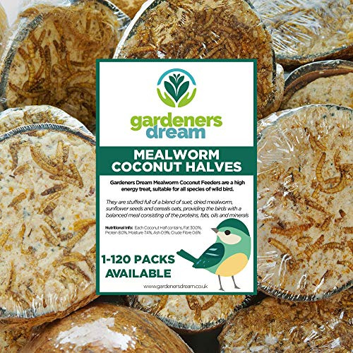GardenersDream Frisches und leckeres Vogelfutter mit Mehlwurmfüllung in Kokosnusshälften | Frisches Wildvogelfutter für den Garten in verschiedenen Packungsgrößen (60)