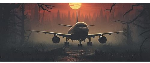 DNOVING 2 Rollen Flugzeug Geburtstag Geschenkpapier - 147,3 x 58,4 cm Geschenkpapier für Jungen & Mädchen Geburtstag & Freundsmas GWP-132149922