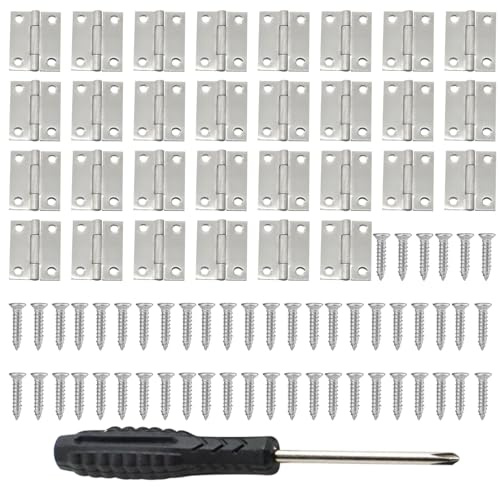 DHWEKU Charnières 30 pièces charnière boite à bijoux 25 * 24 * 0.9mm petites charnieres charniere inox pour travaux manuels,petites boîtes à bijoux,maisons de poupées avec tournevis et 120 vis à bois