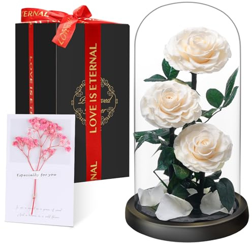 Valentinstag Ewige Rose im Glas, Drei Weiß Rosen, Konservierte Echt Blume für 5 Jahre, Infinity Rose, Geschenk für Frauen, Mama, Freundin, für Sie, zum Valentinstag, Jahrestag, Geburtstag, Muttertagn​