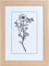 Cadre Photo,Cadre Photo A4 (21 x 29.7 cm),Cadre Photo en Bois Original Pour Bureau et Décoration Murale, Mural et de Table Cadre de Portrait, Idéal pour les Affiches & Diplomes