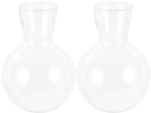 Ciieeo Lot de 2 Vases Suspendus en Verre Borosilicaté Transparent Trou, 8 Cm, Jardinières Hydroponiques Décoratives pour Plantes D’intérieur, Terrariums de Table pour Bureau et Maison