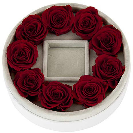 Rosen mit Schmuck I Geschenkbox für Damen mit konservierten Rosen und 925 Echtsilber Ohrstecker I Rosenbox mit roten Rosen I Konservierte Flowerbox 3 Jahre haltbar - Valentinstag-Geschenk für Sie