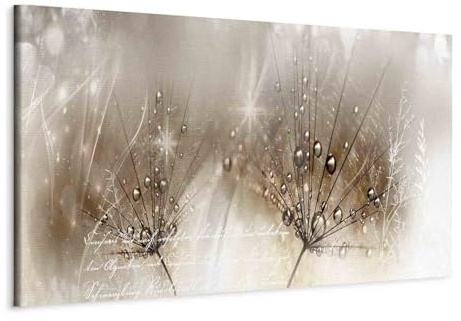 murando - Quadro Moderno per Soggiorno, Soffione Fiori, 150x50 cm | Chiodi Inclusi, 1 Pezzo, Murale Arte, Stampe da Parete, Resistenti Allo Sbiadimento, Produzione Europea