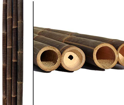bambus-discount.com 1 canna di bambù da 200 cm, colore nero e marrone, con diametro da 8 a 10 cm, spessore XL, in bambù trattato con sale borico, lunghezza 2 m