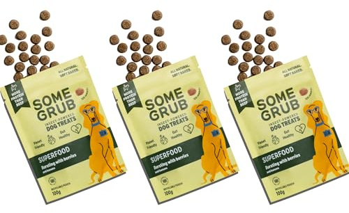 Energy Boost Dog Treats | Insect Protein & Superfruits | Vitality & Immune Support | Hypoallergenic | All Breeds – Pack of 3